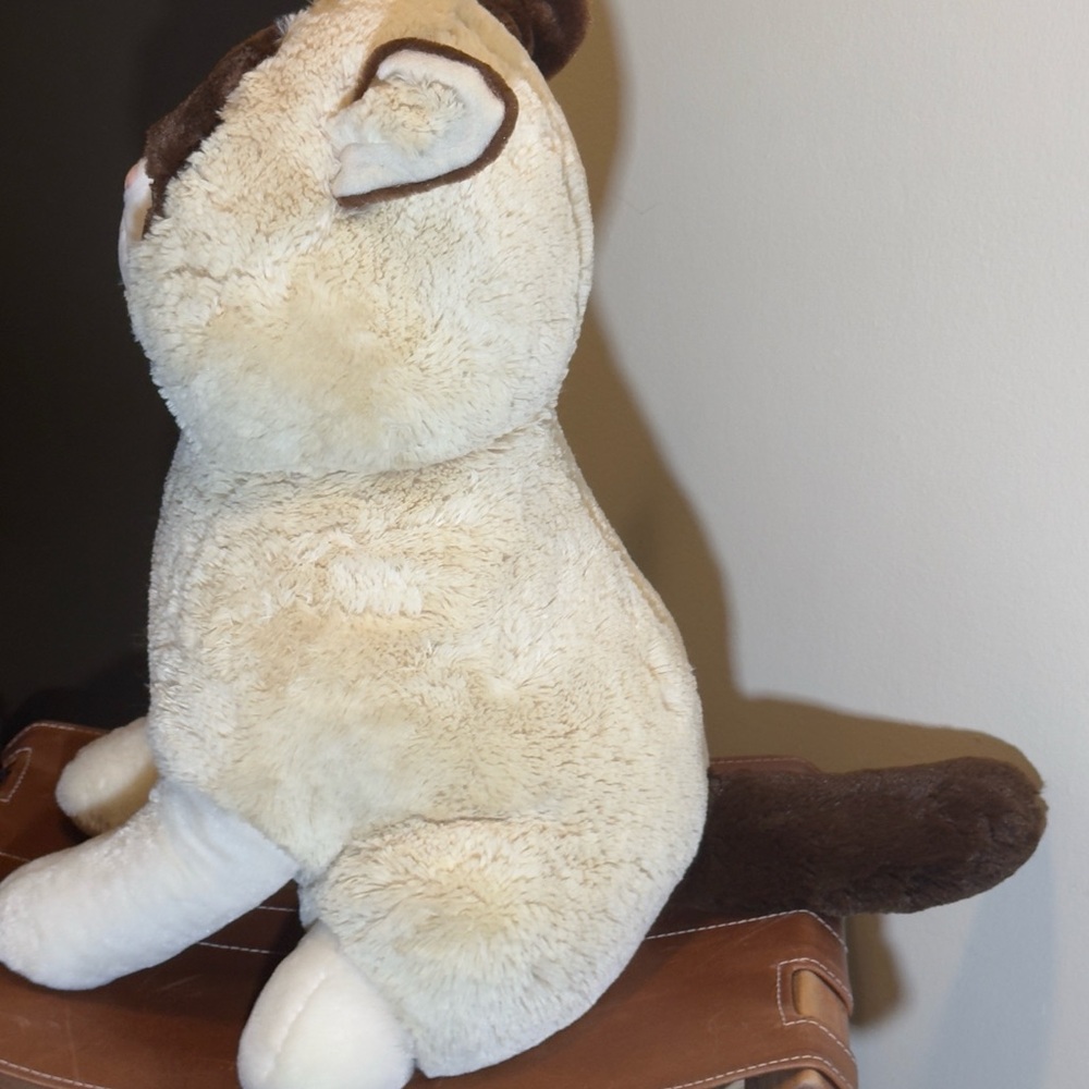 Grumpy Cat Gund - Picture 4 of 5